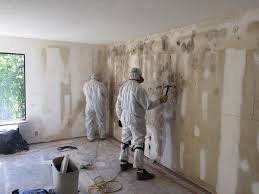 Why You Should Choose Our Mold Remediation Services in Mount Sinai, NY